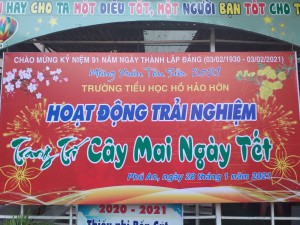 HOẠT ĐỘNG TRẢI NGHIỆM: TRANG TRÍ CÂY MAI NGÀY TẾT