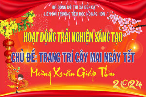 TRƯỜNG TIỂU HỌC HỒ HẢO HỚN TỔ CHỨC HOẠT ĐỘNG TRẢI NGHIỆM : TRANG TRÍ CÂY MAI NGÀY TẾT - MỪNG XUÂN GIÁP THÌN NĂM 2024