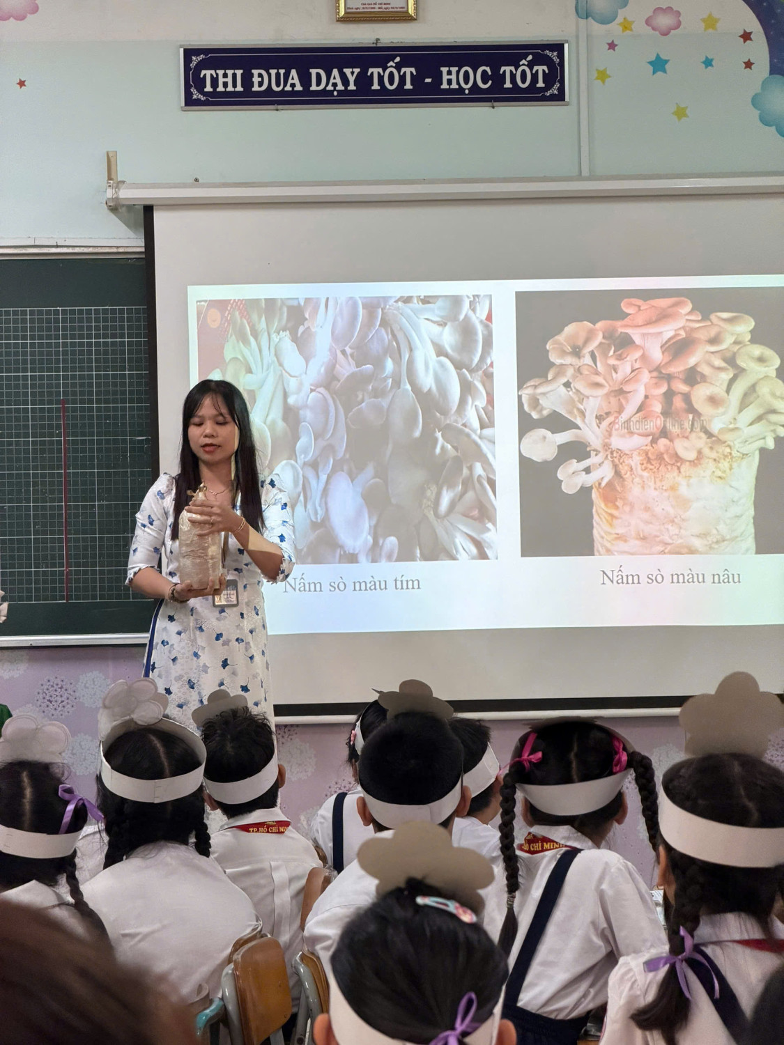 z7675797341967 547f472109a111c0aac7a4c26ab09eb9